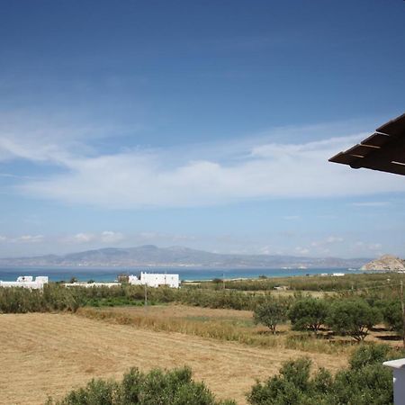 Bluefox Apartments Kastraki (Naxos) Exterior foto