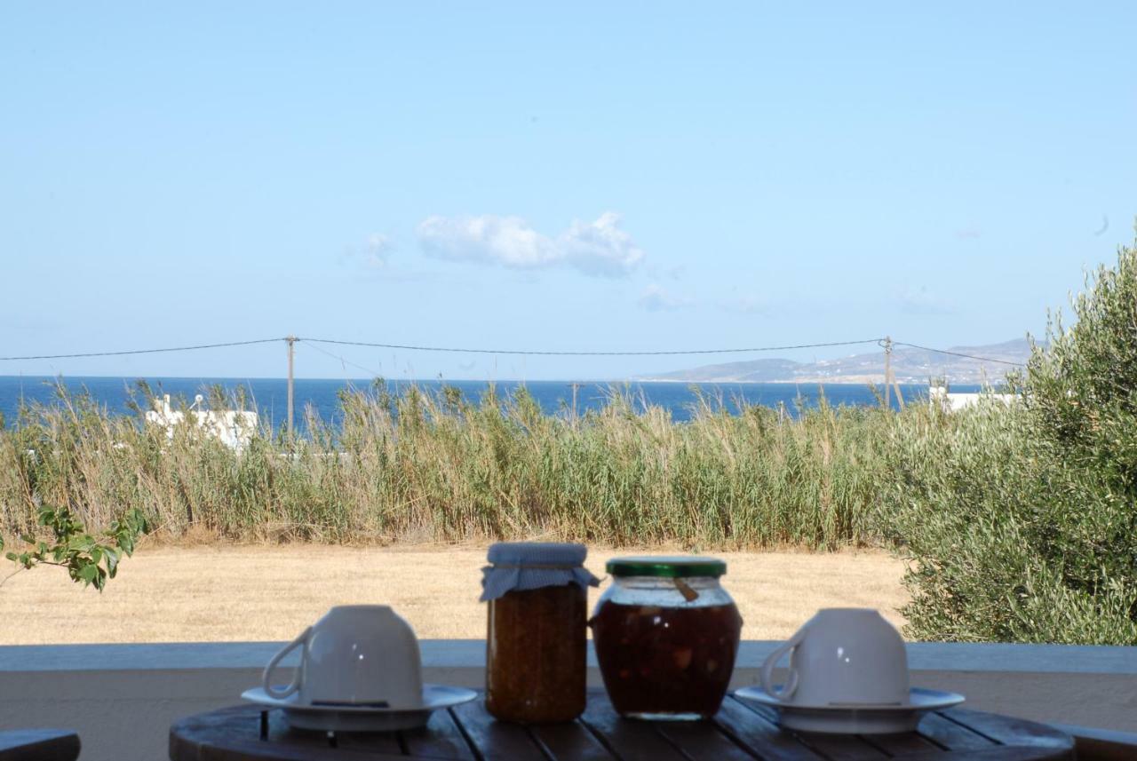 Bluefox Apartments Kastraki (Naxos) Exterior foto