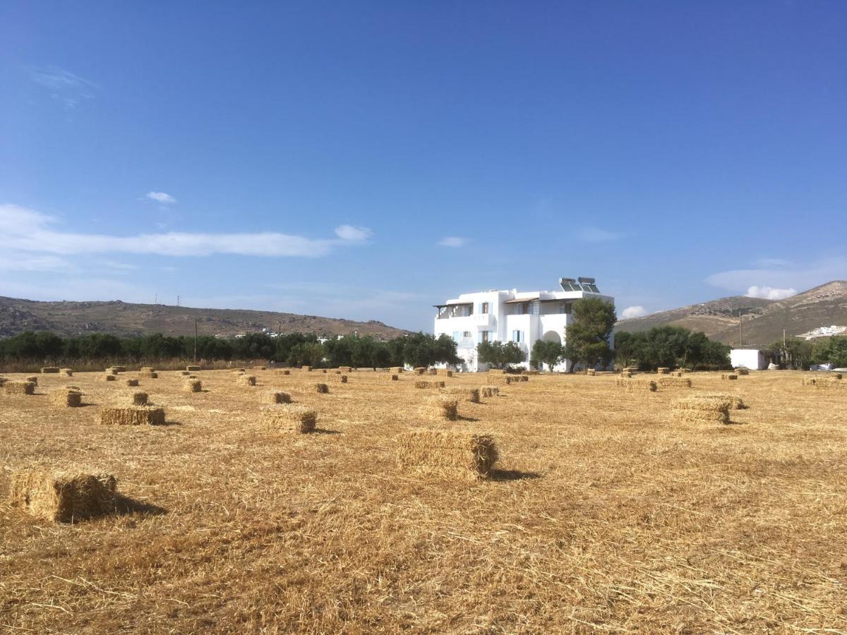 Bluefox Apartments Kastraki (Naxos) Exterior foto